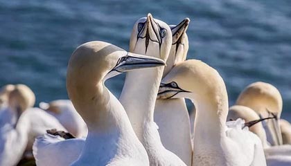 马赛这次换人像临时改口,直接炸锅,一句话把气氛点燃