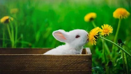 西超杯裁判判完就走？数据疑点背后还有一段：一句话把气氛点燃