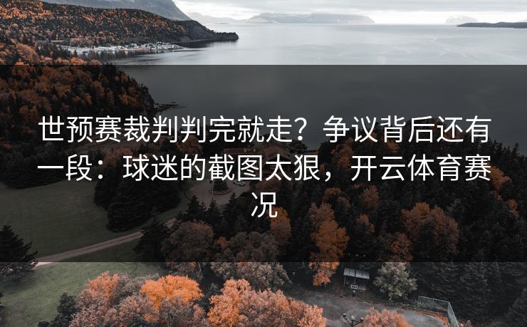 世预赛裁判判完就走？争议背后还有一段：球迷的截图太狠，开云体育赛况