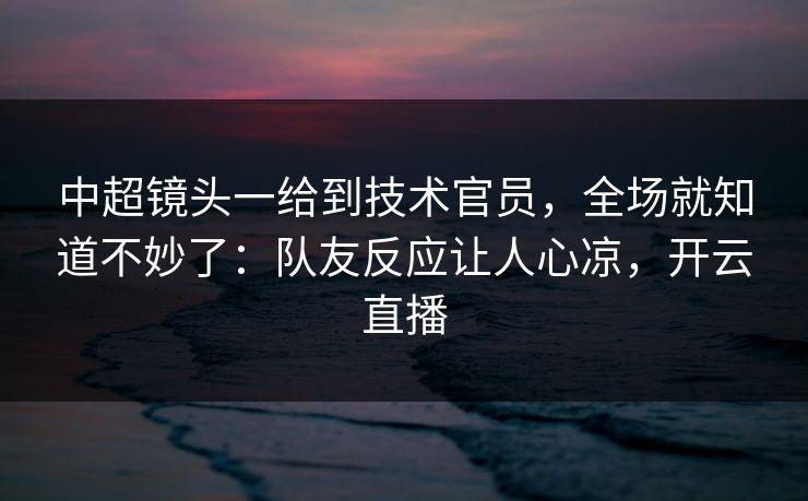 中超镜头一给到技术官员,全场就知道不妙了:队友反应让人心凉,开云直播 中超镜头一给到技术官员,全场就知道不妙了:队友反应让人心凉,开云直播