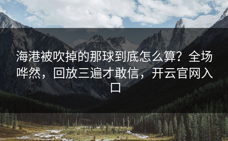 海港被吹掉的那球到底怎么算?全场哗然,回放三遍才敢信,开云官网入口 海港被吹掉的那球到底怎么算?全场哗然,回放三遍才敢信,开云官网入口