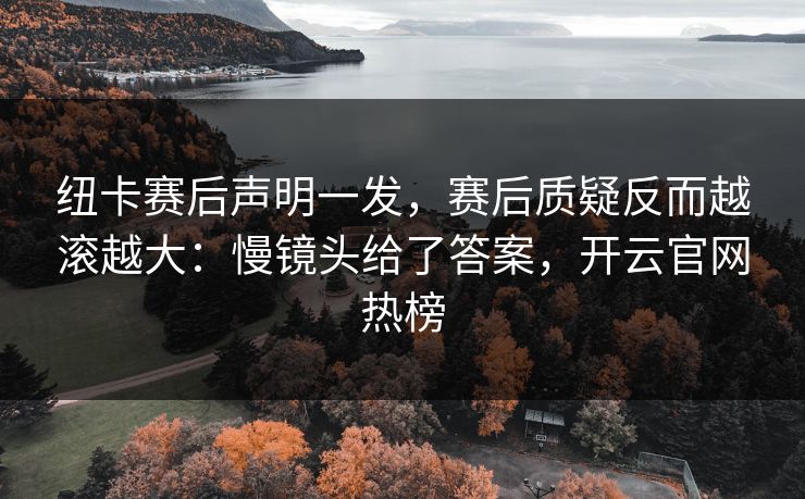 纽卡赛后声明一发，赛后质疑反而越滚越大：慢镜头给了答案，开云官网热榜