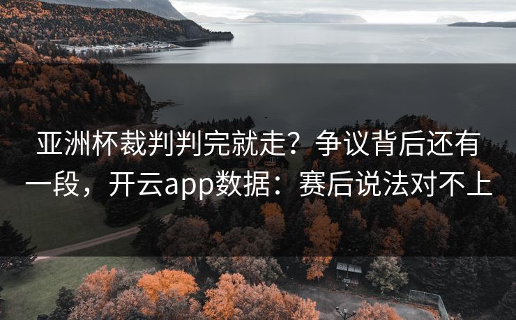 亚洲杯裁判判完就走?争议背后还有一段,开云app数据:赛后说法对不上