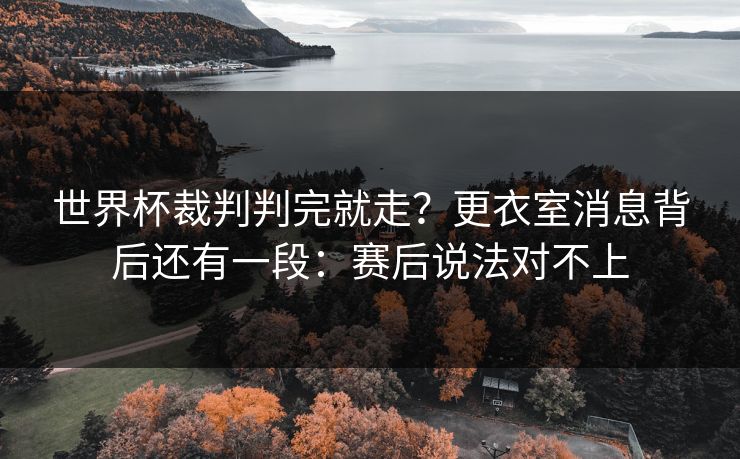 世界杯裁判判完就走？更衣室消息背后还有一段：赛后说法对不上